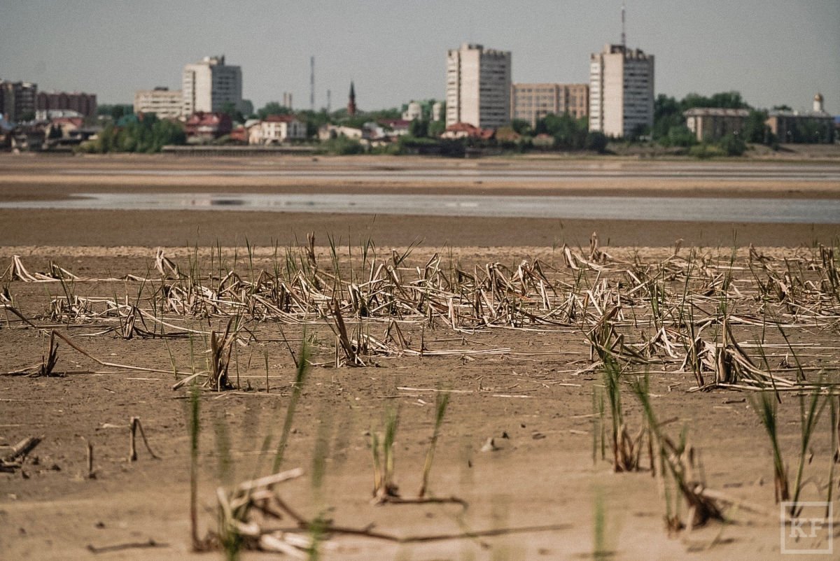 Россия на грани экологической катастрофы: в Астраханской области рекордно обмелела Волга