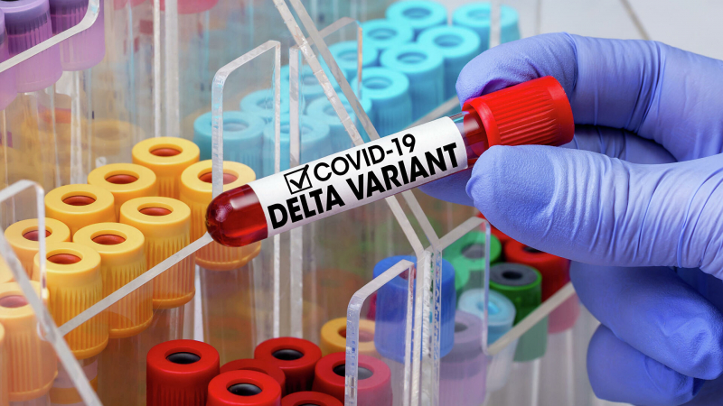 В Приморье выявили подделку медиками сертификатов о вакцинации