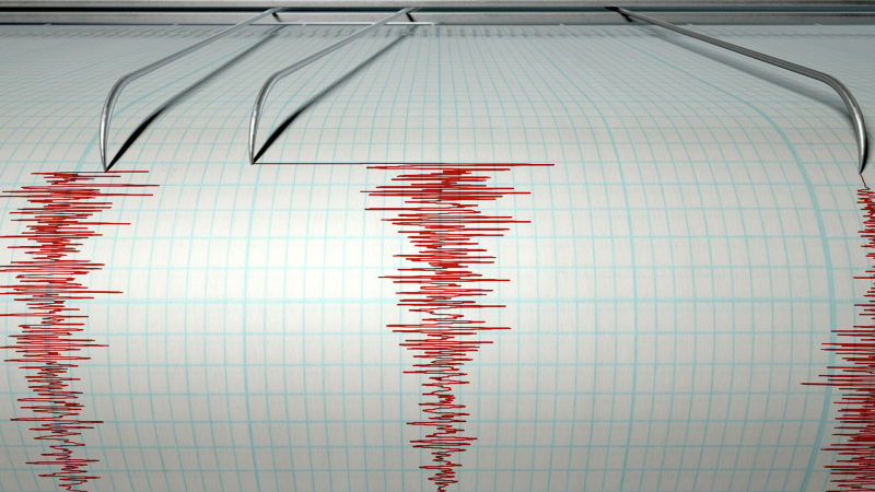 Возле южных Курильских островов произошло землетрясение