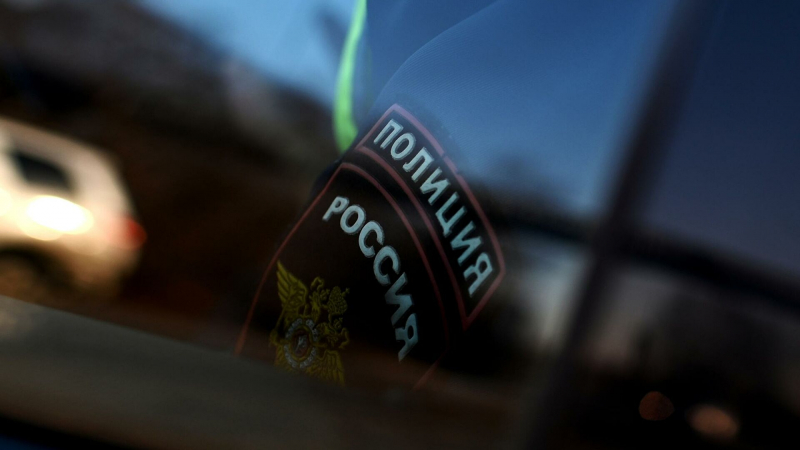В МВД сообщили, что напавшие на семью в Ватутинках были разнорабочими