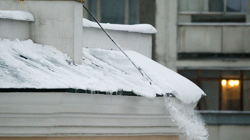 В Петербурге открыли дела о хищениях участвующими в уборке снега компаниями