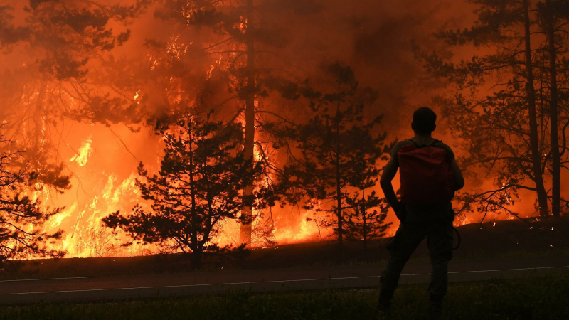 Лесной пожар вблизи Минусинска в Красноярском крае локализовали