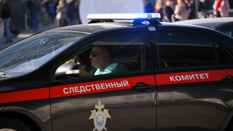 СК завел дело о нападении на двух полицейских в Новосибирской области