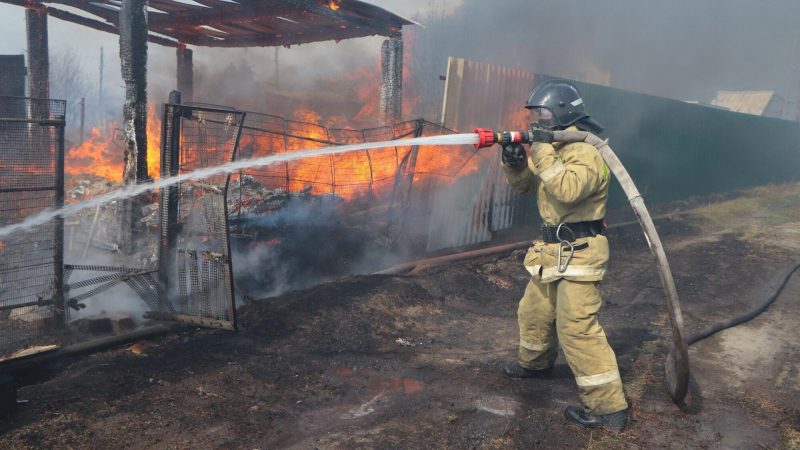 Более 700 человек тушат природные пожары в Курганской области
