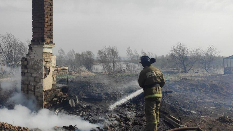 Из-за пожаров в Красноярском крае пострадали более 1,2 тысячи человек