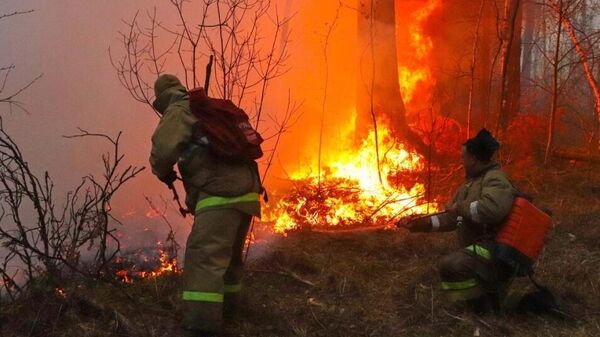 В Красноярском крае ликвидировали пожар, перешедший на деревню