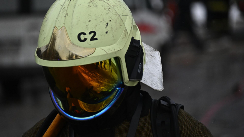 В Красноярском крае трех человек задержали по делу о пожарах
