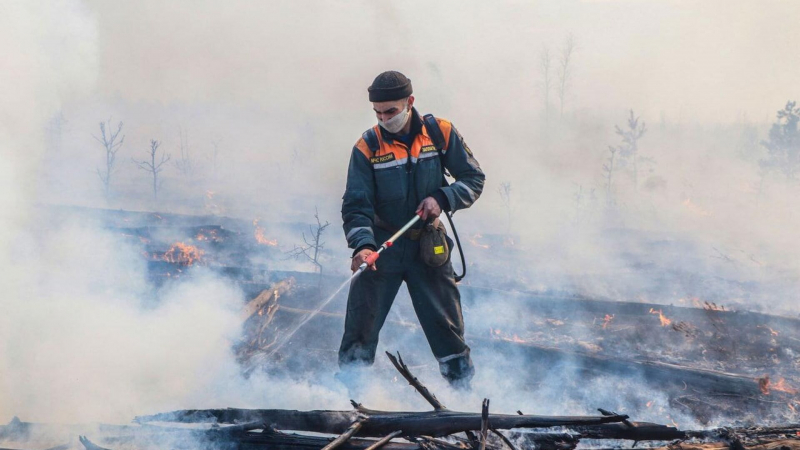 В России продолжает гореть 1,1 тысячи гектаров леса