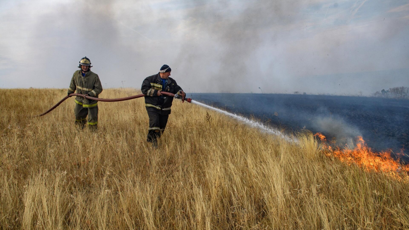 В России за сутки потушили более 160 лесных пожаров
