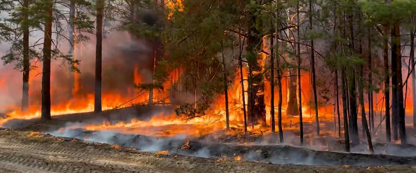 Россия горит - леса Сибири решили не тушить: слишком дорого