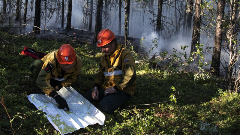 Площадь природных пожаров в Якутии в 2022 году сократилась почти в пять раз