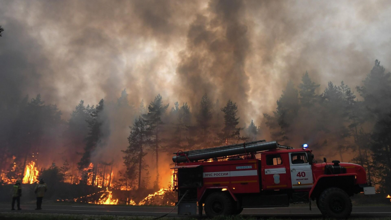 В России зафиксировали 6400 лесных пожаров с начала пожароопасного сезона