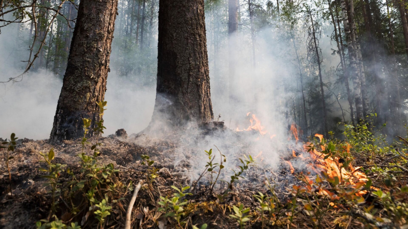 Лесной пожар вблизи якутского села Арылах локализовали