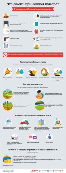 chto-delat-pri-lesnom-pozhare-infografika-585eec9