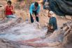krupnejshij-skelet-dinozavra-najden-v-portugalii-b8f2269