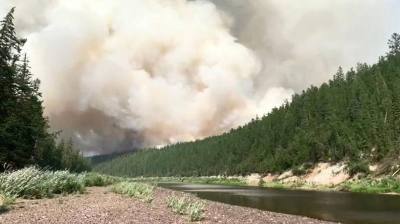 Лесопожарные службы потушили 36 природных пожаров за сутки