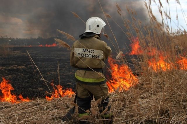 Mchs Predupredilo O Chrezvychajnoj Pozharnoj Opasnosti V Podmoskove 6f3dd3b