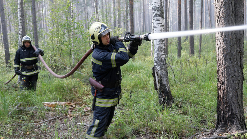 Пожар в Нижегородской области замкнули в кольцо