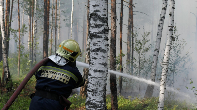 Pozhar V Nizhegorodskoj Oblasti Zamknuli V Kolco D4cf507