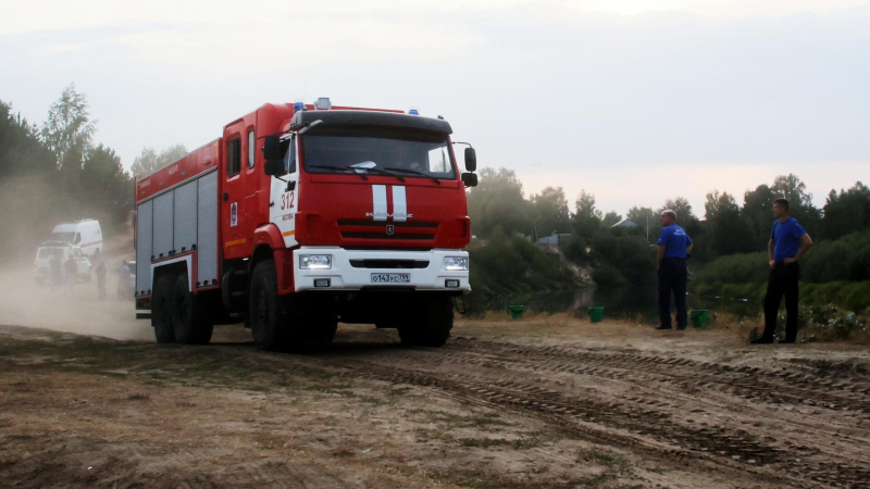 Пожар в Рязанской области сдает позиции, заявил врио губернатора