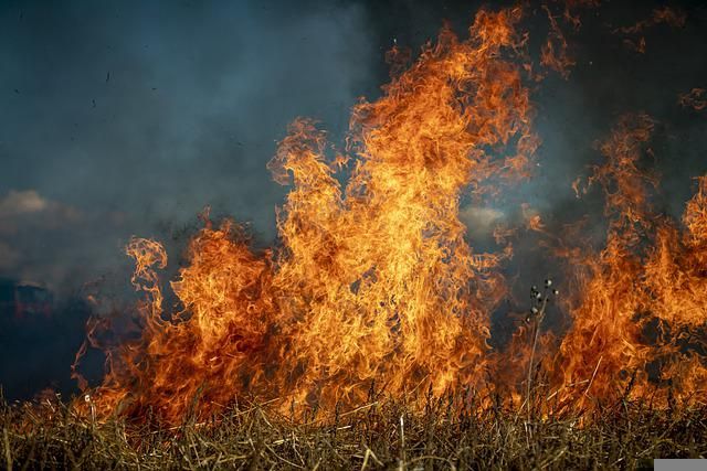 Режим ЧС объявлен в Нижегородской области в связи с лесным пожаром