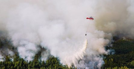 V Rjazanskoj Oblasti Ostanovili Rasprostranenie Lesnogo Pozhara 8a604b1