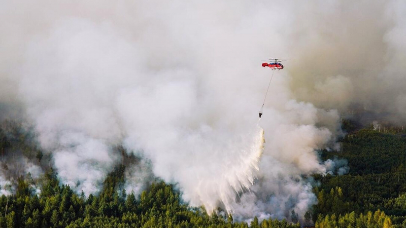 В Рязанской области выросла площадь природных пожаров