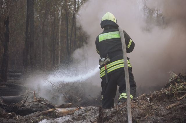 V Rossii Za Sutki Likvidirovali 70 Prirodnyh Pozharov 4091a5a