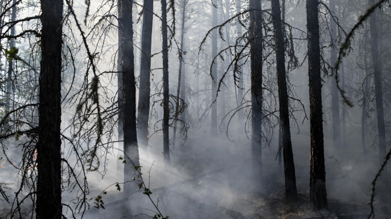 В Верхнедонском районе Ростовской области ликвидировали природный пожар