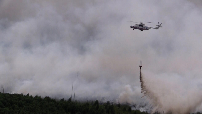 Во Владимирской области выявили шесть очагов лесных пожаров
