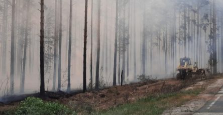 Vysshij Uroven Pozharnoj Opasnosti Grozit Regionam Cfo I Privolzhja Edafd24