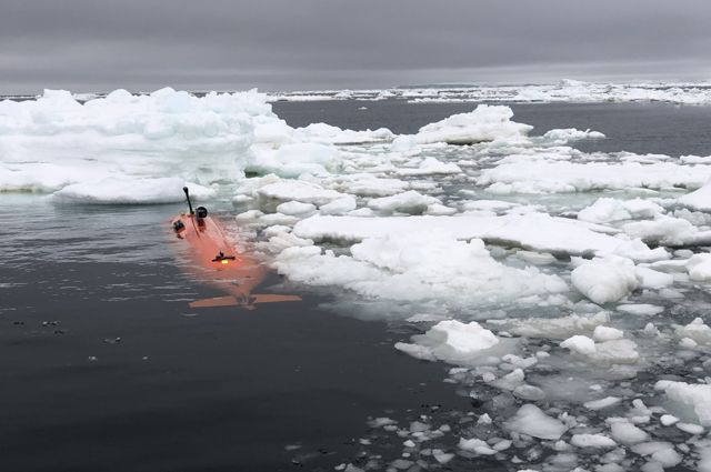 lednik-sudnogo-dnja-tajushhaja-antarktida-grozit-zatopleniem-sankt-peterburgu-968166c