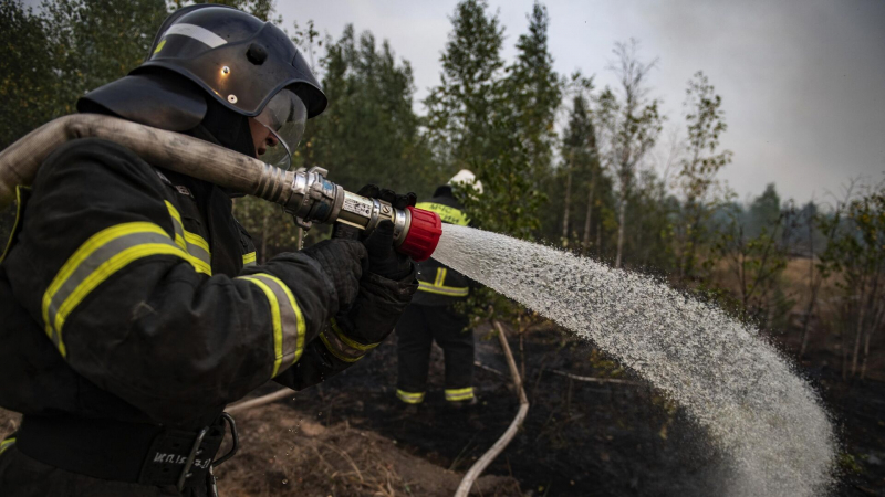 МЧС сообщила о ликвидации природного пожара в экопарке в Оренбурге