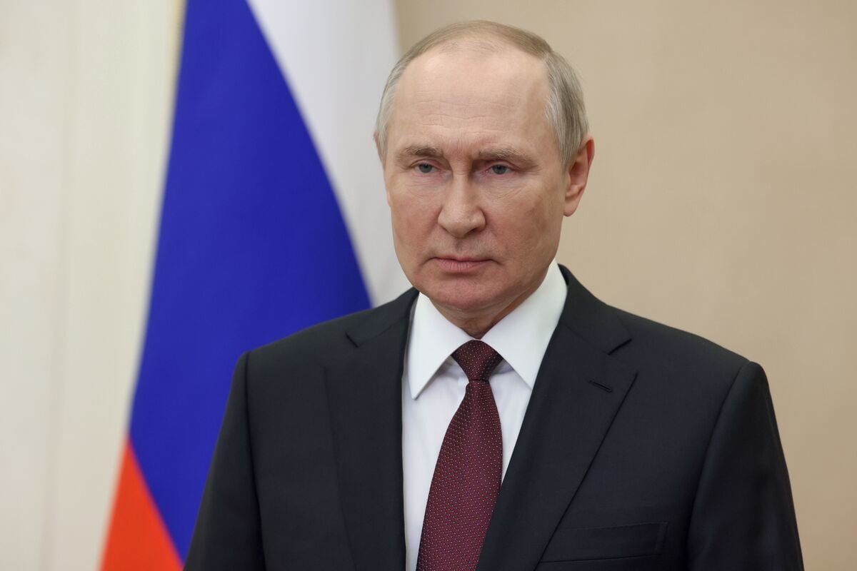 "Настоящая дичь, он открыл цех..." – Шейтельман указал на очередные нелепые выходки Путина