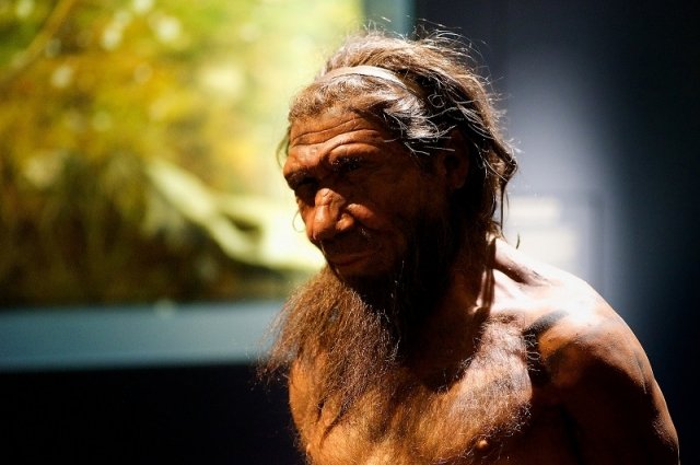 britanskie-uchenye-vyjasnili-chto-neandertalcy-umeli-pech-lepeshki-d084438
