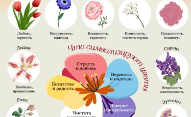 cvety-so-smyslom-chto-oznachaet-ih-nazvanie-infografika-7d3755e