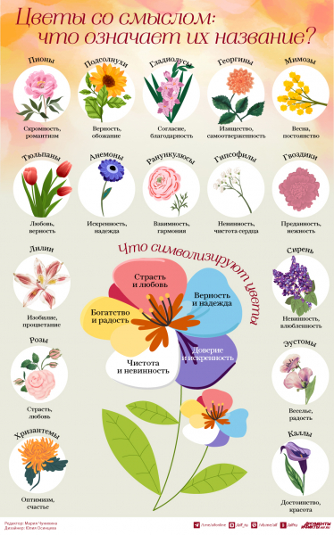 cvety-so-smyslom-chto-oznachaet-ih-nazvanie-infografika-7d3755e