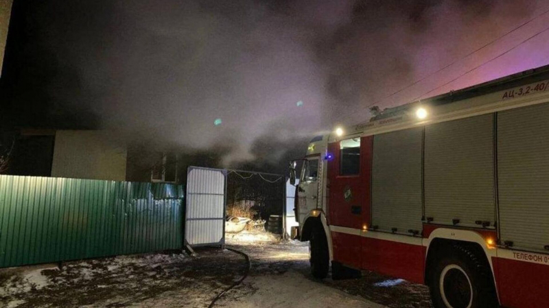 В пожаре в Домодедово погибли два человека