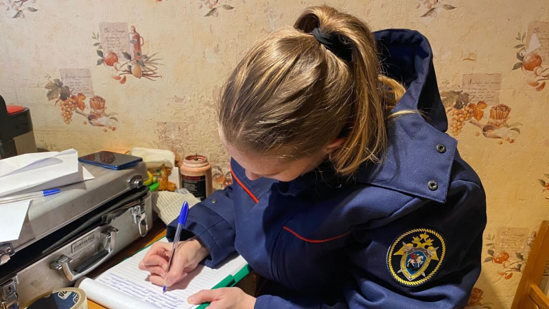 СК проведет проверку из-за избиения ребенка двумя взрослыми в Новосибирске