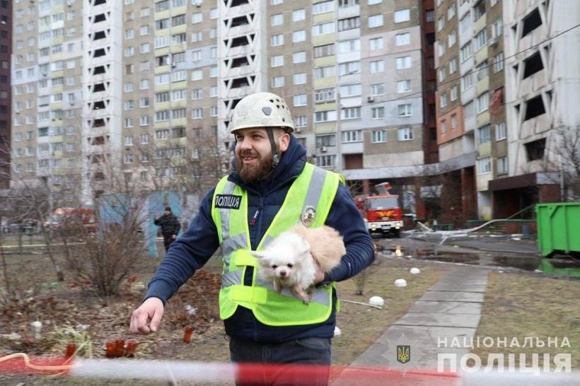 Каждая жизнь важна: в Киеве копы достали из-под завалов собаку, пес уже в семье