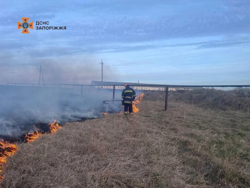 В Украине за сутки произошло более 100 пожаров: спасатели призвали украинцев не поджигать сухую траву
