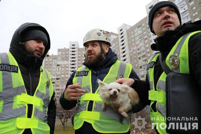 Каждая жизнь важна: в Киеве копы достали из-под завалов собаку, пес уже в семье