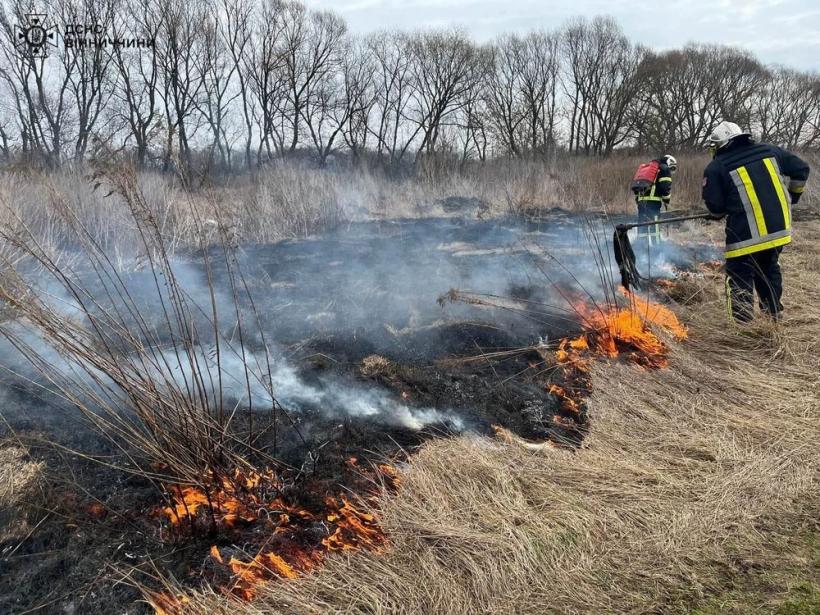 В Украине за сутки произошло более 100 пожаров: спасатели призвали украинцев не поджигать сухую траву
