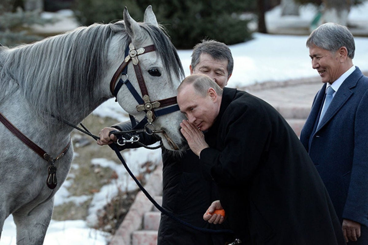 ​Любимый жеребец Путина умер, в окружении диктатора видят в этом плохой знак - росСМИ