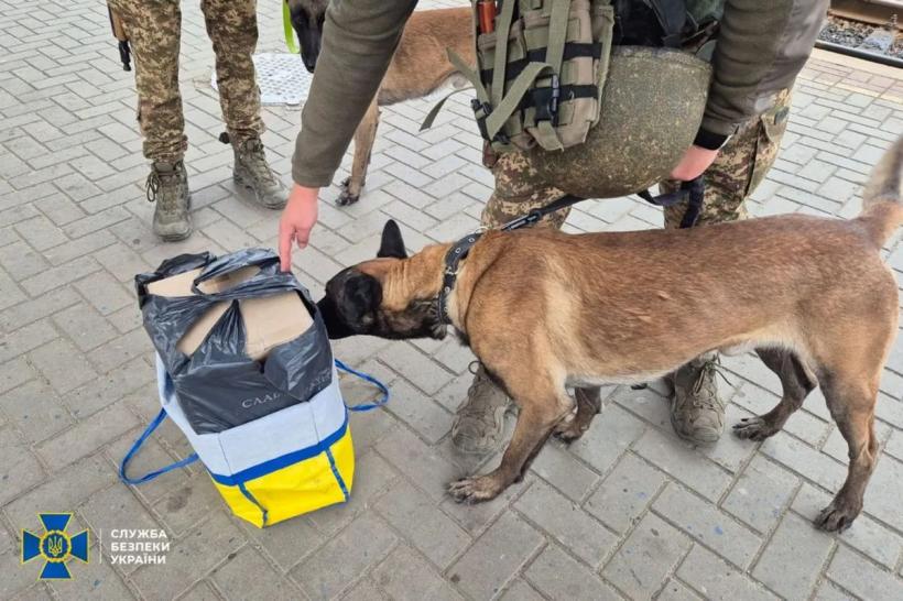 СБУ проводит контрразведывательные мероприятия в Сумах: что нужно знать