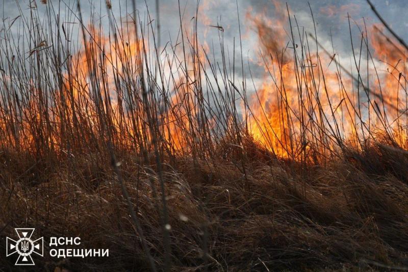 В Одесской области спасатели ликвидируют масштабный пожар на открытой территории
