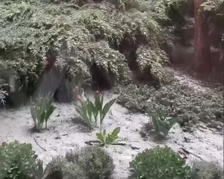Одесскую область засыпало снегом: видео