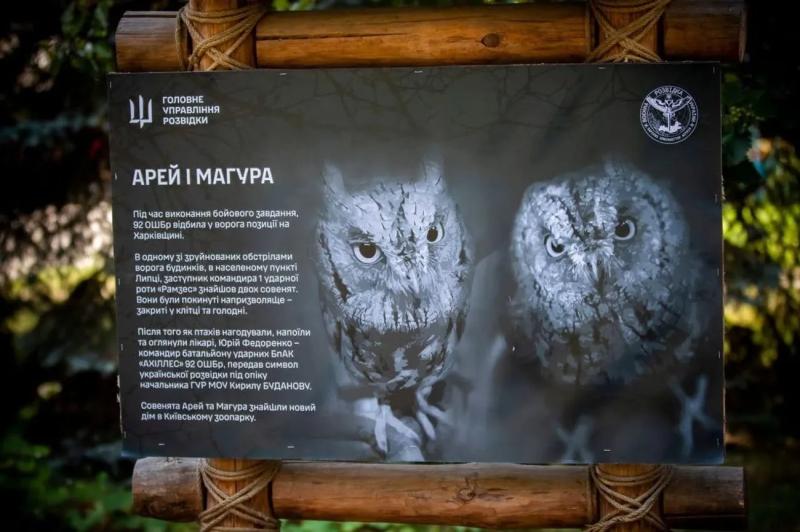 Сегодня День любителей зоопарка: как зверинцы защищают животных во время войны в Украине