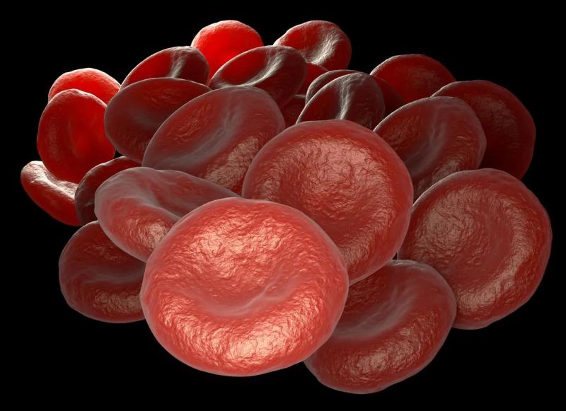 Ученые обнаружили новую группу крови после 50 лет исследований