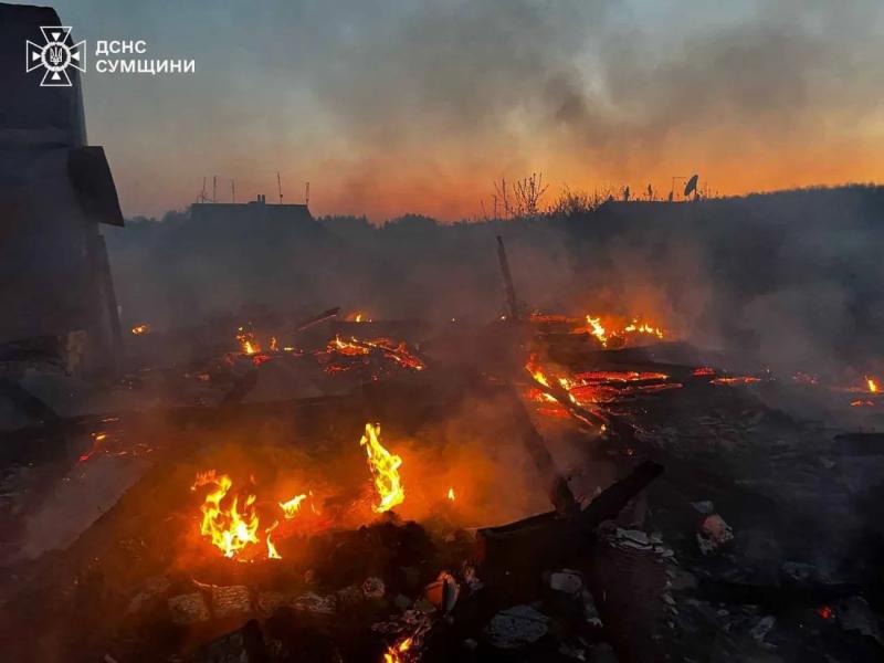 В Сумской области из-под завалов достали песика после ночного удара рф - ГСЧС